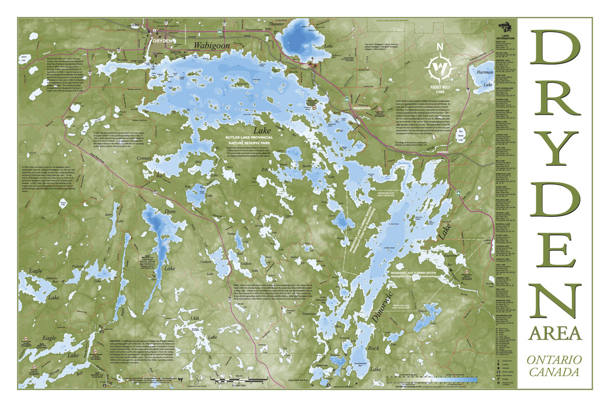 DRYDEN AREA MAP 2021-01 24X36 PREVIEW