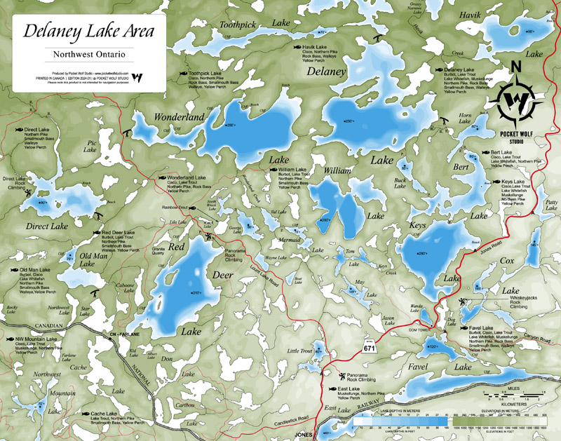 RED DEER DELANEY 2025-01 11X14