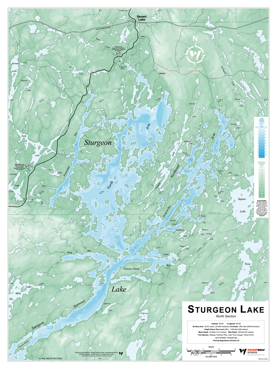 STURGEON LAKE NORTH 2020-01 18X24