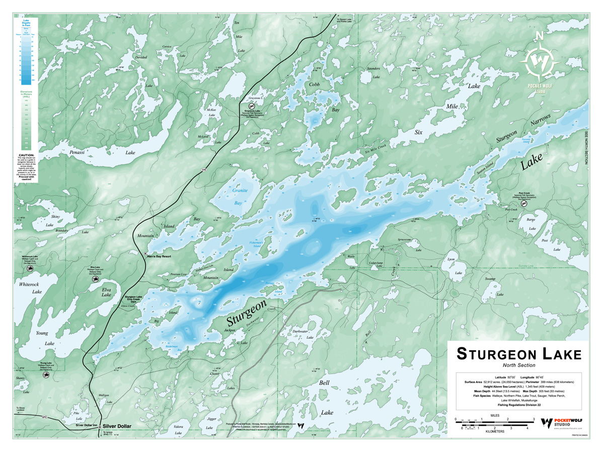STURGEON LAKE SOUTH 2020-01 18X24