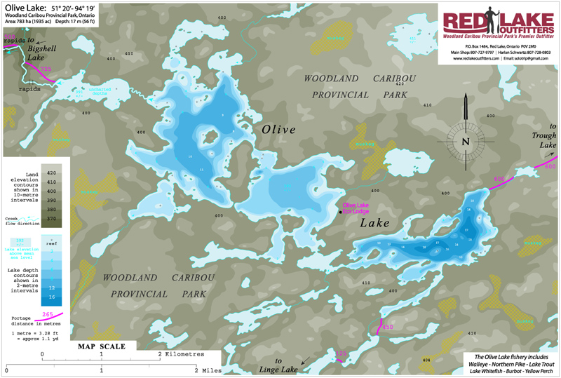 OLIVE LAKE